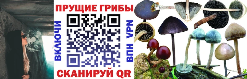 Псилоцибиновые грибы мухоморы  Купить закладки  Ивангород 